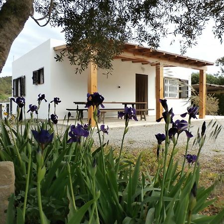 Sa Vinya Casa De Campo Es Cubells Εξωτερικό φωτογραφία
