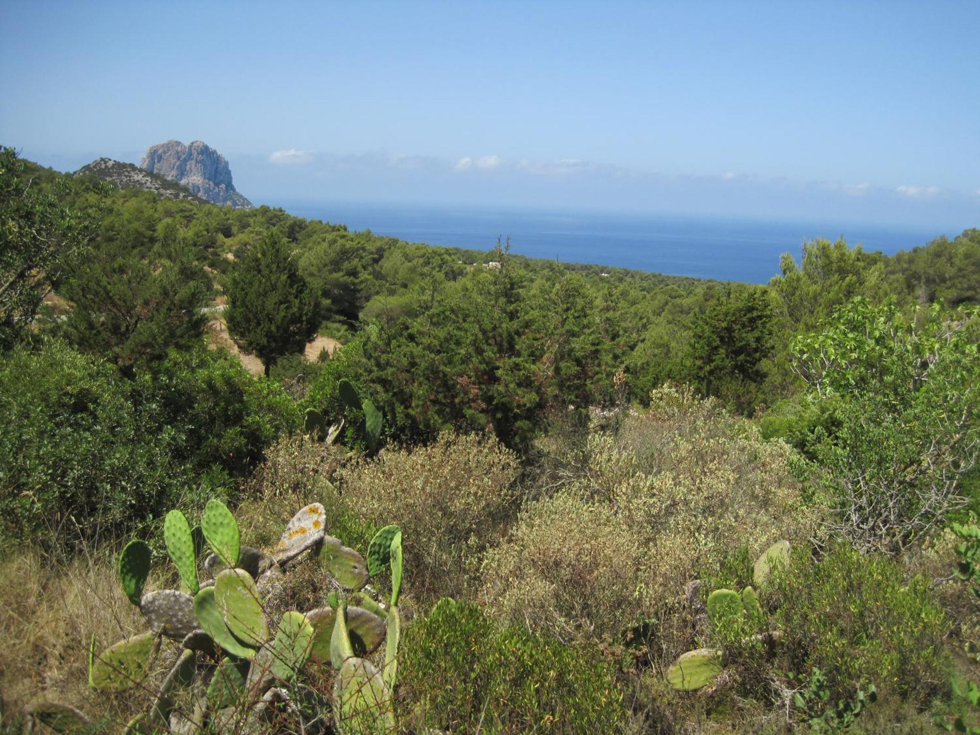Sa Vinya Casa De Campo Es Cubells Εξωτερικό φωτογραφία