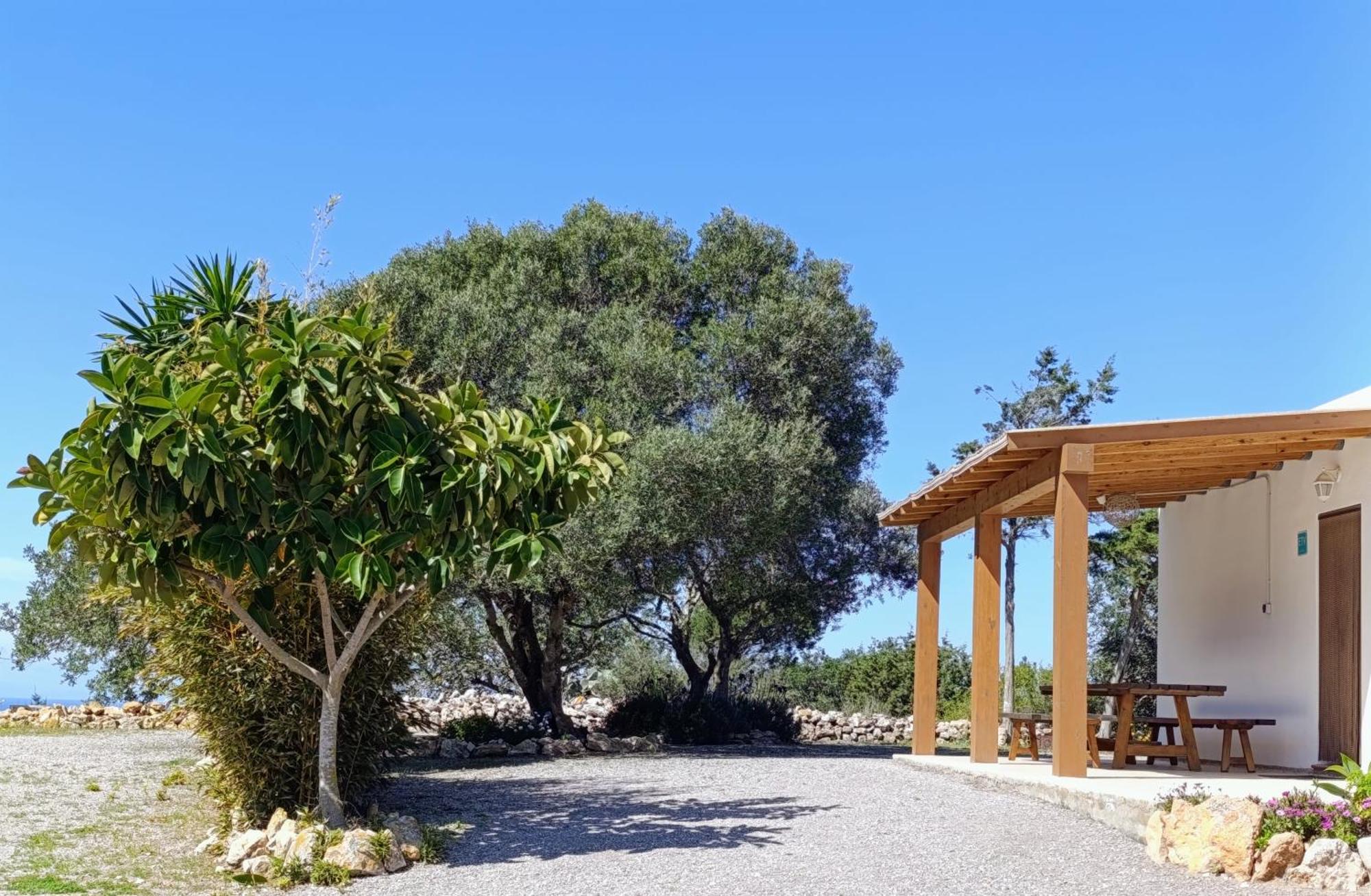Sa Vinya Casa De Campo Es Cubells Εξωτερικό φωτογραφία